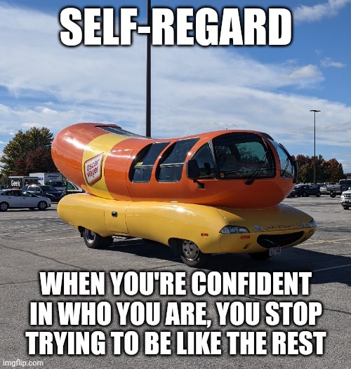 Know Yourself | SELF-REGARD; WHEN YOU'RE CONFIDENT IN WHO YOU ARE, YOU STOP TRYING TO BE LIKE THE REST | image tagged in funny meme,memes,funny | made w/ Imgflip meme maker