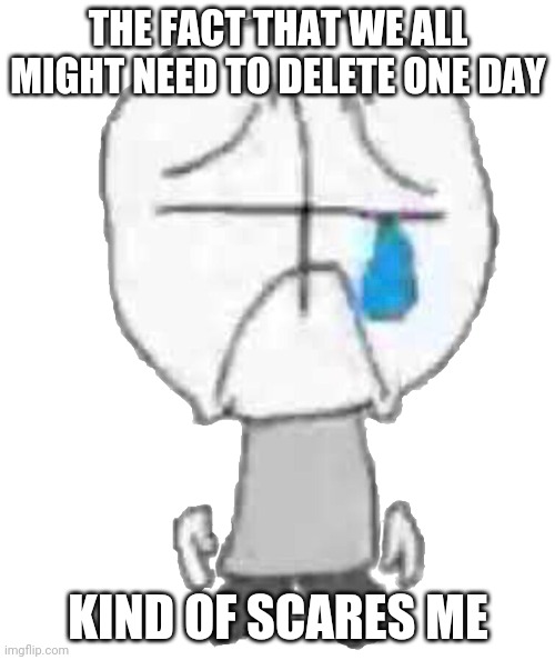 Sadness Combat Grunt | THE FACT THAT WE ALL MIGHT NEED TO DELETE ONE DAY; KIND OF SCARES ME | image tagged in sadness combat grunt | made w/ Imgflip meme maker