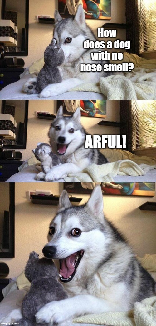 AWFUL Pun Dog | How does a dog with no nose smell? ARFUL! | image tagged in memes,bad pun dog | made w/ Imgflip meme maker