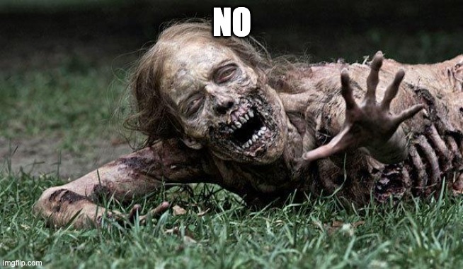 Walking Dead Zombie | NO | image tagged in walking dead zombie | made w/ Imgflip meme maker