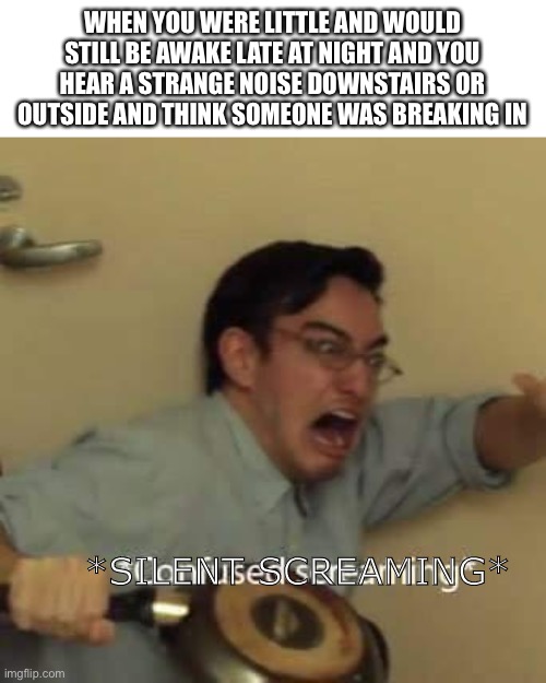Was I the only one who thought this. | WHEN YOU WERE LITTLE AND WOULD STILL BE AWAKE LATE AT NIGHT AND YOU HEAR A STRANGE NOISE DOWNSTAIRS OR OUTSIDE AND THINK SOMEONE WAS BREAKING IN; *SILENT SCREAMING* | image tagged in filthy frank confused scream | made w/ Imgflip meme maker