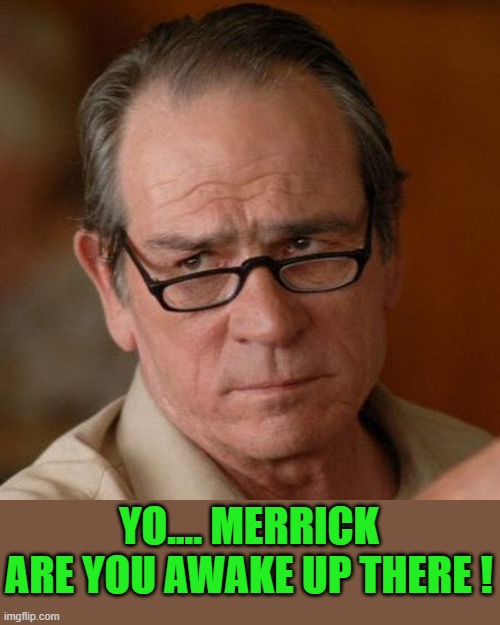 Tommy Lee Jones Are you serious | YO.... MERRICK ARE YOU AWAKE UP THERE ! | image tagged in tommy lee jones are you serious | made w/ Imgflip meme maker