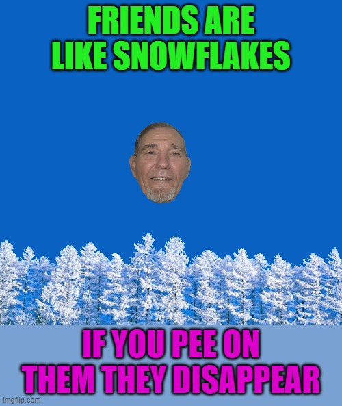 FRIENDS ARE LIKE SNOWFLAKES; IF YOU PEE ON THEM THEY DISAPPEAR | made w/ Imgflip meme maker