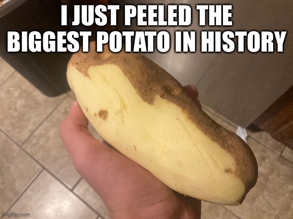 GIANT POTATO | I JUST PEELED THE BIGGEST POTATO IN HISTORY | image tagged in potato | made w/ Imgflip meme maker
