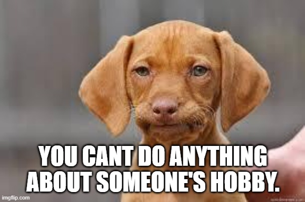 Disappointed Dog | YOU CANT DO ANYTHING ABOUT SOMEONE'S HOBBY. | image tagged in disappointed dog | made w/ Imgflip meme maker