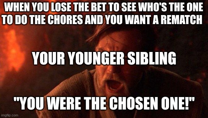 My little brother does this all the time. (The same one that tied me up) | WHEN YOU LOSE THE BET TO SEE WHO'S THE ONE; TO DO THE CHORES AND YOU WANT A REMATCH; YOUR YOUNGER SIBLING; "YOU WERE THE CHOSEN ONE!" | image tagged in memes,you were the chosen one star wars | made w/ Imgflip meme maker