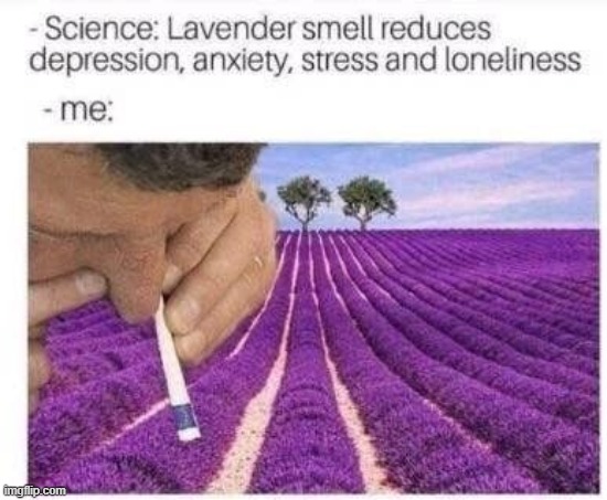 D | made w/ Imgflip meme maker