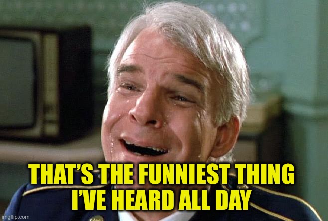 tears of joy steve martin | THAT’S THE FUNNIEST THING 
I’VE HEARD ALL DAY | image tagged in tears of joy steve martin | made w/ Imgflip meme maker