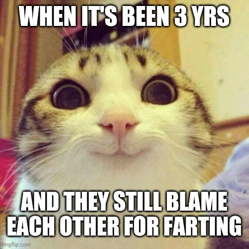 Smiling Cat Meme | WHEN IT'S BEEN 3 YRS; AND THEY STILL BLAME EACH OTHER FOR FARTING | image tagged in memes,smiling cat | made w/ Imgflip meme maker