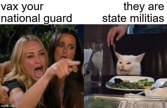 Woman Yelling At Cat Meme | vax your
national guard they are
state militias | image tagged in memes,woman yelling at cat | made w/ Imgflip meme maker
