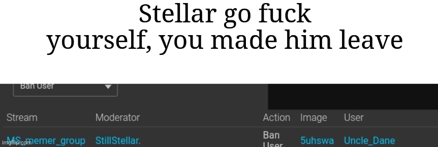 Stellar go fuck yourself, you made him leave | image tagged in blank white template | made w/ Imgflip meme maker