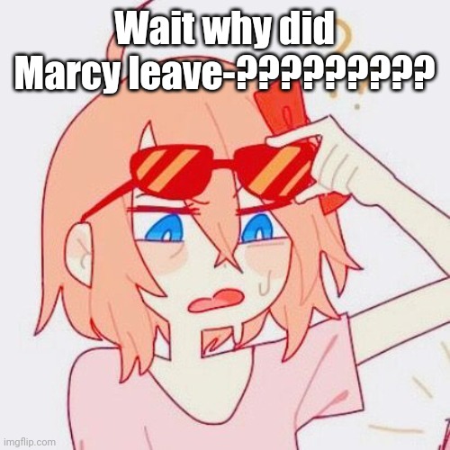 Sayori tf | Wait why did Marcy leave-????????? | image tagged in sayori tf | made w/ Imgflip meme maker