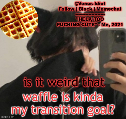 my waffle temp bc im a SIMP |  is it weird that; waffle is kinda my transition goal? | image tagged in my waffle temp bc im a simp | made w/ Imgflip meme maker