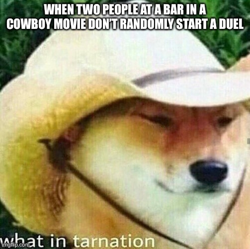 Duels | WHEN TWO PEOPLE AT A BAR IN A COWBOY MOVIE DON’T RANDOMLY START A DUEL | image tagged in what in tarnation dog,cowboy,hehehe,wow,movie,oh wow are you actually reading these tags | made w/ Imgflip meme maker