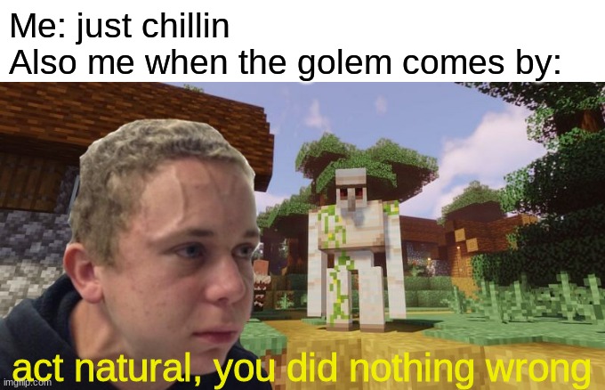 srsly tho that is so stressful | Me: just chillin
Also me when the golem comes by:; act natural, you did nothing wrong | image tagged in minecraft,memes,funny memes,funny | made w/ Imgflip meme maker