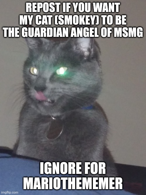REPOST IF YOU WANT MY CAT (SMOKEY) TO BE THE GUARDIAN ANGEL OF MSMG; IGNORE FOR MARIOTHEMEMER | made w/ Imgflip meme maker