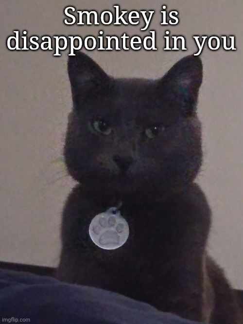Smokey is disappointed in you | made w/ Imgflip meme maker