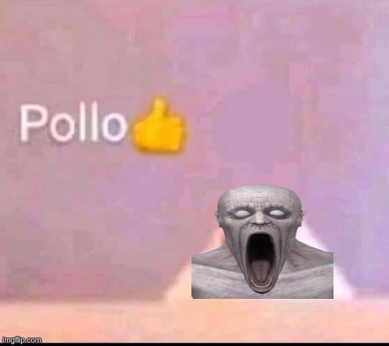 Pollo | image tagged in pollo | made w/ Imgflip meme maker