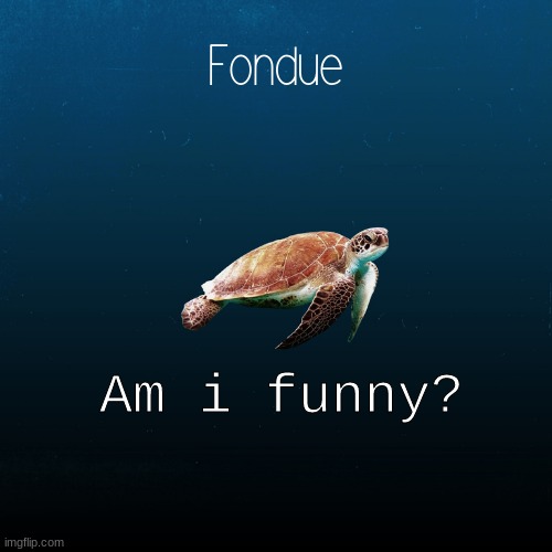 Am i funny? | Am i funny? | image tagged in turtle template-fondue | made w/ Imgflip meme maker