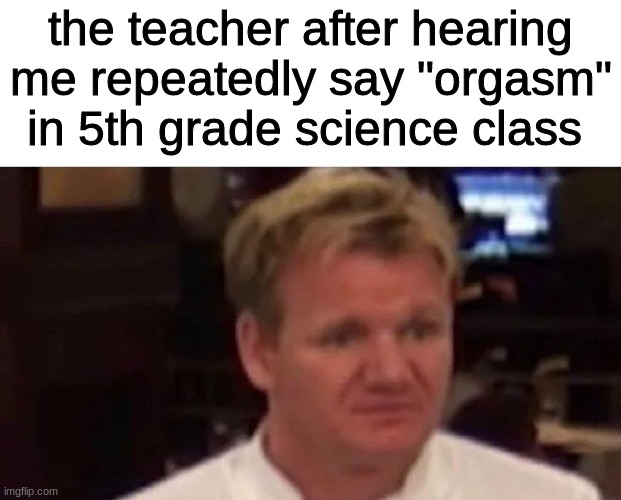 i remember i use to mistake Organism for Orgasm | the teacher after hearing me repeatedly say "orgasm" in 5th grade science class | image tagged in gordan ramsey bruh | made w/ Imgflip meme maker