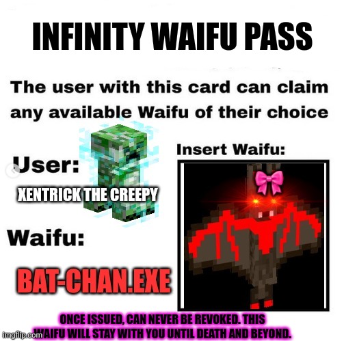 INFINITY WAIFU PASS ONCE ISSUED, CAN NEVER BE REVOKED. THIS WAIFU WILL STAY WITH YOU UNTIL DEATH AND BEYOND. | made w/ Imgflip meme maker
