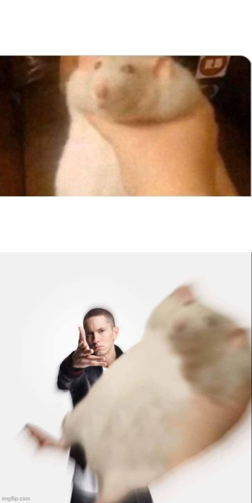 P A I N | image tagged in memes,blank transparent square,hamster,rat being thrown,guy holding rat | made w/ Imgflip meme maker