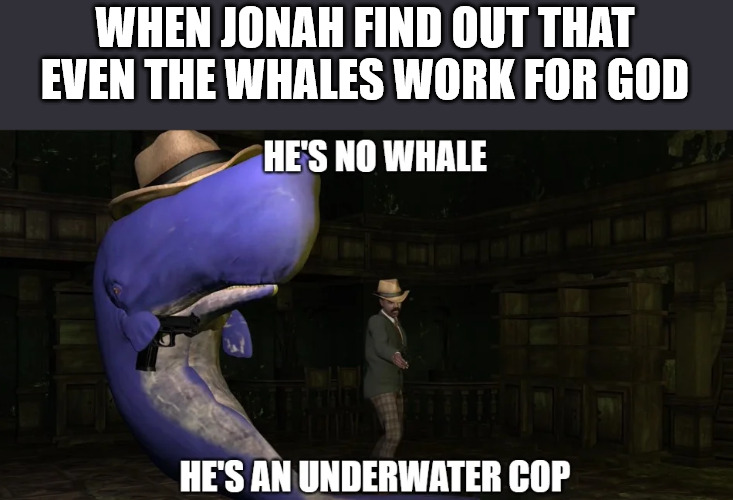 It was a setup | WHEN JONAH FIND OUT THAT EVEN THE WHALES WORK FOR GOD | image tagged in whale,dank,christian,memes,r/dankchristianmemes | made w/ Imgflip meme maker