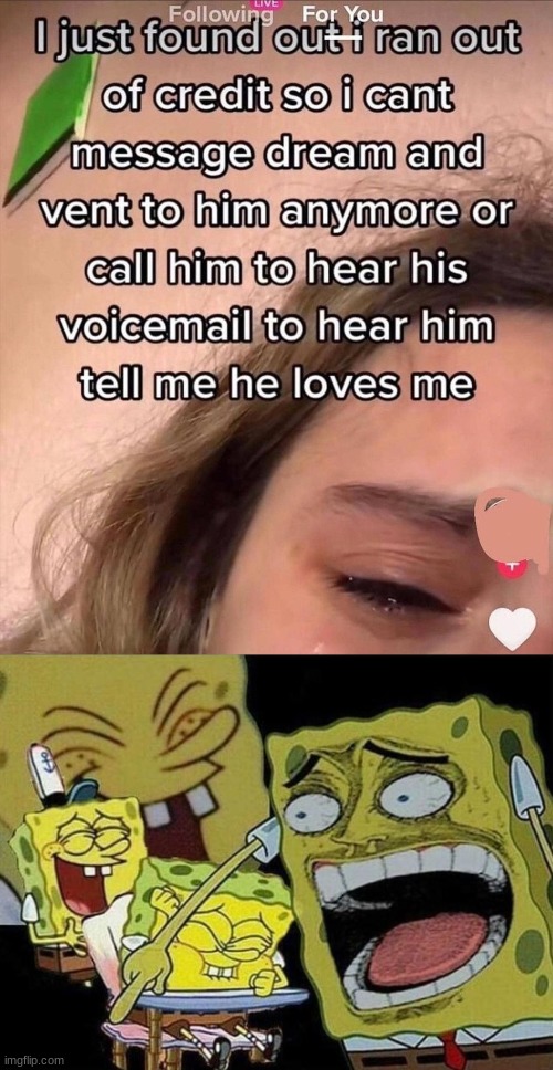 image tagged in spongebob laughing hysterically | made w/ Imgflip meme maker