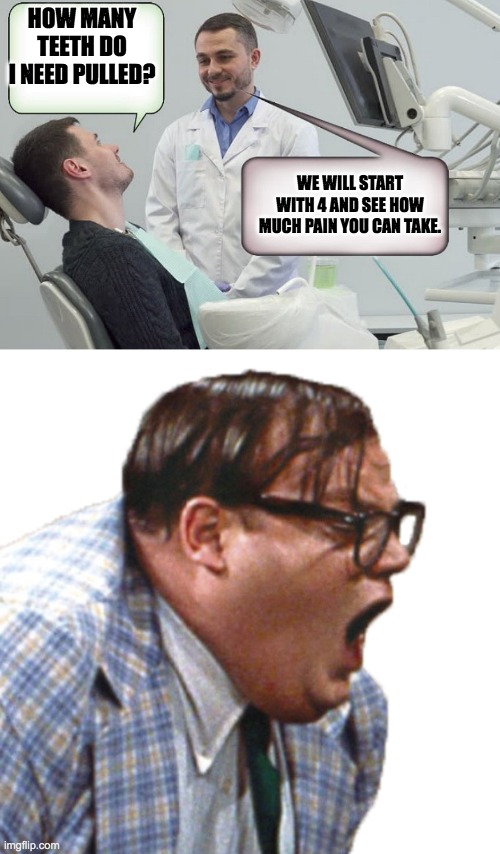 HOW MANY TEETH DO I NEED PULLED? WE WILL START WITH 4 AND SEE HOW MUCH PAIN YOU CAN TAKE. | image tagged in hot dentist,matt foley scream,dentist,dentists,funny memes | made w/ Imgflip meme maker