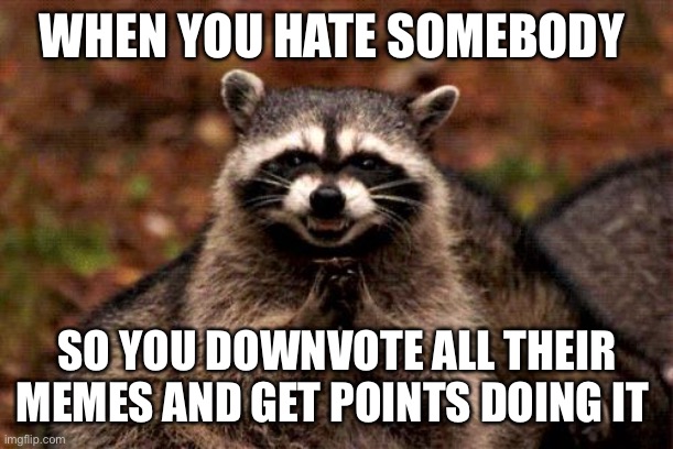 I think because I’m fighting this dude named JacobJune who insults everyone he might find some ridiculous way to ban me! |  WHEN YOU HATE SOMEBODY; SO YOU DOWNVOTE ALL THEIR MEMES AND GET POINTS DOING IT | image tagged in memes,evil plotting raccoon | made w/ Imgflip meme maker