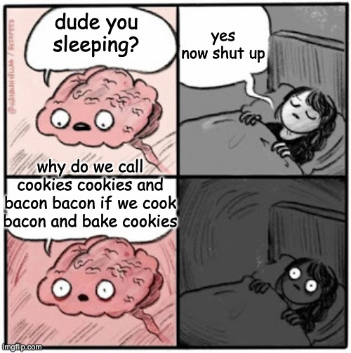 Crazy Fax #1 | yes now shut up; dude you sleeping? why do we call cookies cookies and bacon bacon if we cook bacon and bake cookies | image tagged in brain before sleep | made w/ Imgflip meme maker