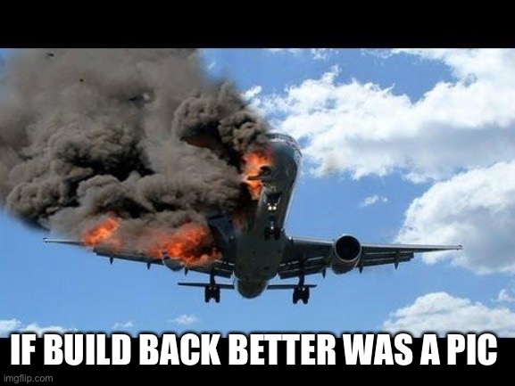 Build Back Better | IF BUILD BACK BETTER WAS A PIC | image tagged in plane crash,joe biden,build,back,better | made w/ Imgflip meme maker