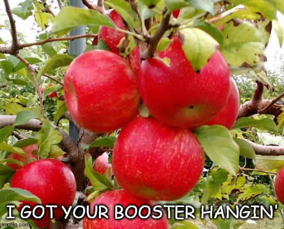 An apple a day... | I GOT YOUR BOOSTER HANGIN' | image tagged in natural immunity is real | made w/ Imgflip meme maker