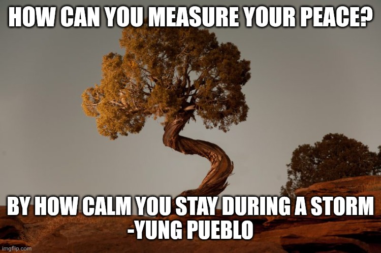Measuring peace | HOW CAN YOU MEASURE YOUR PEACE? BY HOW CALM YOU STAY DURING A STORM
-YUNG PUEBLO | image tagged in spiritual moab tree | made w/ Imgflip meme maker