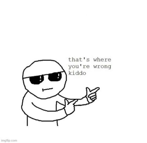WrongKiddo | image tagged in wrongkiddo | made w/ Imgflip meme maker