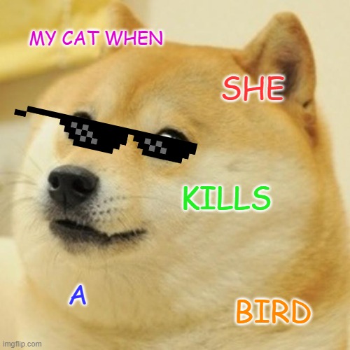Doge | MY CAT WHEN; SHE; KILLS; A; BIRD | image tagged in memes,doge | made w/ Imgflip meme maker