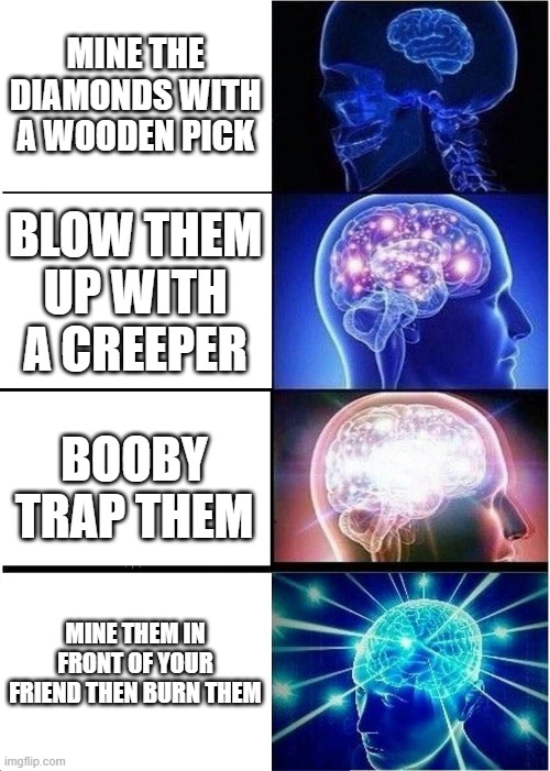 Expanding Brain Meme | MINE THE DIAMONDS WITH A WOODEN PICK; BLOW THEM UP WITH A CREEPER; BOOBY TRAP THEM; MINE THEM IN FRONT OF YOUR FRIEND THEN BURN THEM | image tagged in memes,expanding brain | made w/ Imgflip meme maker