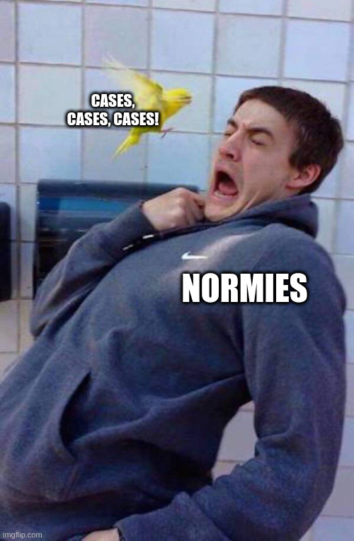 cases | CASES, CASES, CASES! NORMIES | image tagged in bird scares guy | made w/ Imgflip meme maker