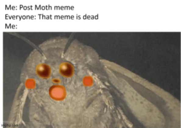 :0 | made w/ Imgflip meme maker