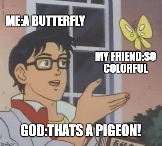 NO ITS A PIGEON | ME:A BUTTERFLY; MY FRIEND:SO COLORFUL; GOD:THATS A PIGEON! | image tagged in memes,is this a pigeon | made w/ Imgflip meme maker