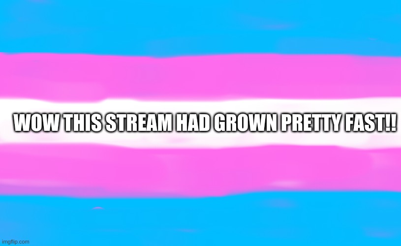 im so happy its growing! | WOW THIS STREAM HAD GROWN PRETTY FAST!! | image tagged in transgender flag | made w/ Imgflip meme maker