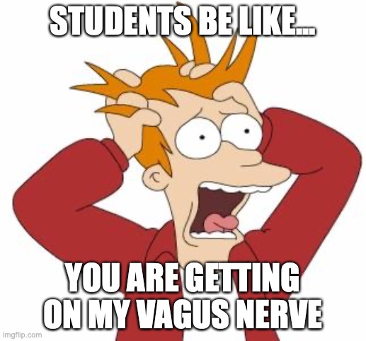 Fry Freaking Out | STUDENTS BE LIKE... YOU ARE GETTING ON MY VAGUS NERVE | image tagged in fry freaking out | made w/ Imgflip meme maker