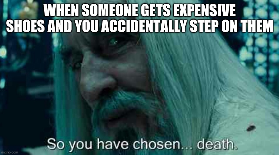 So you have chosen death | WHEN SOMEONE GETS EXPENSIVE SHOES AND YOU ACCIDENTALLY STEP ON THEM | image tagged in so you have chosen death | made w/ Imgflip meme maker