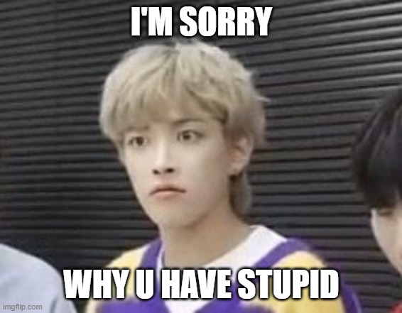 I'm sorry what?! | I'M SORRY WHY U HAVE STUPID | image tagged in i'm sorry what | made w/ Imgflip meme maker