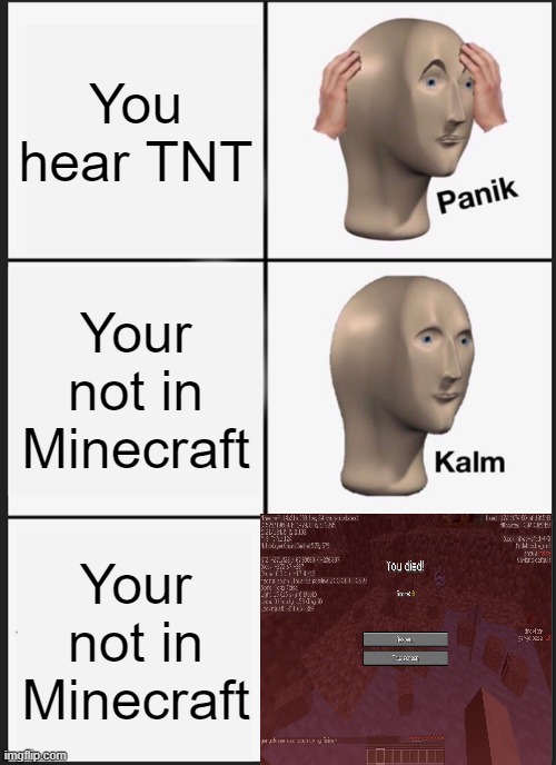 oh no | You hear TNT; Your not in Minecraft; Your not in Minecraft | image tagged in memes,panik kalm panik | made w/ Imgflip meme maker