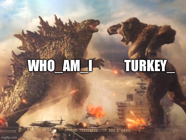 Yes | TURKEY_; WHO_AM_I | image tagged in godzilla vs kong | made w/ Imgflip meme maker