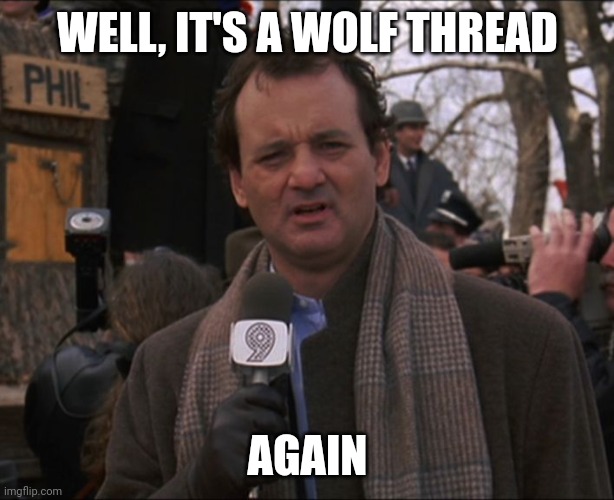 Bill Murray Groundhog Day | WELL, IT'S A WOLF THREAD; AGAIN | image tagged in bill murray groundhog day | made w/ Imgflip meme maker