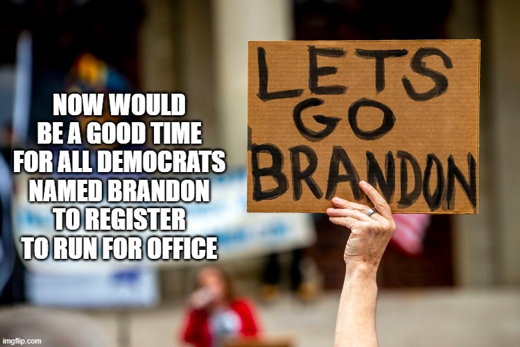 NOW WOULD BE A GOOD TIME FOR ALL DEMOCRATS NAMED BRANDON TO REGISTER TO RUN FOR OFFICE | image tagged in democrats | made w/ Imgflip meme maker