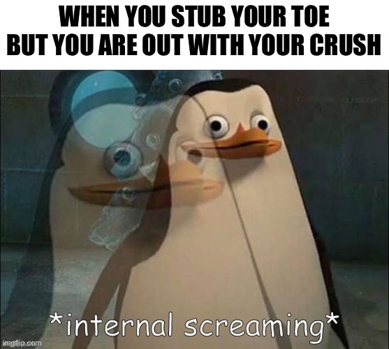 Œœ | WHEN YOU STUB YOUR TOE BUT YOU ARE OUT WITH YOUR CRUSH | image tagged in rico internal screaming | made w/ Imgflip meme maker