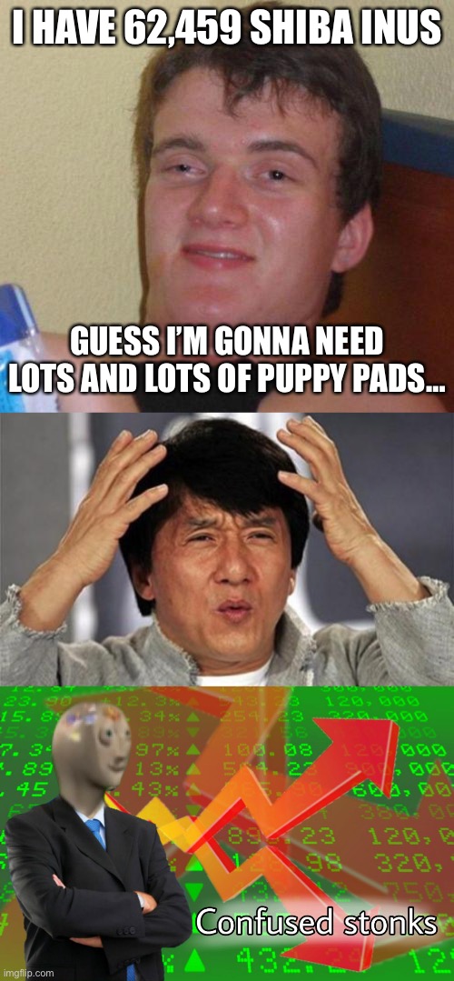 I HAVE 62,459 SHIBA INUS; GUESS I’M GONNA NEED LOTS AND LOTS OF PUPPY PADS… | image tagged in stoned guy,jackie chan wtf,confused stonks | made w/ Imgflip meme maker